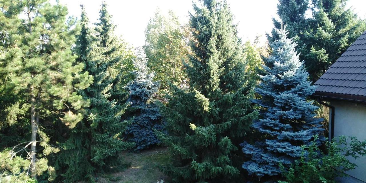 Piernikowy Dworek Lubicz Exterior foto